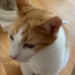 Meet your Posher, Becky